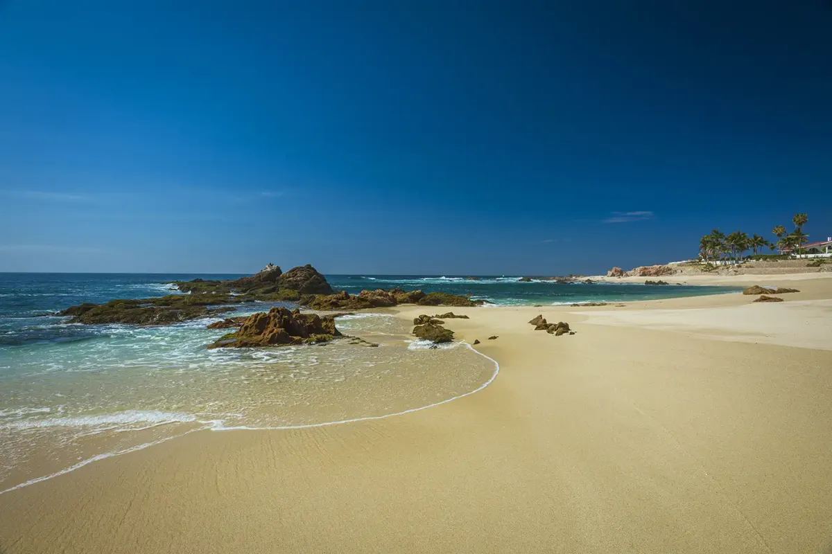 Villa Tortuga in Punta Bella, Los Cabos — photo 12