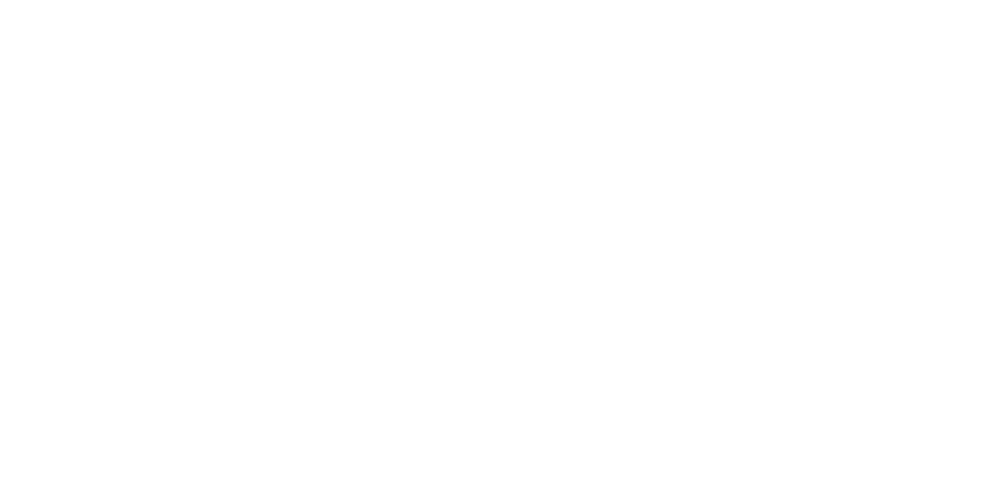 The Baja Concierge Logo